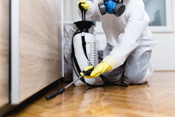 Best Affordable Pest Control Services  in Catlin, IL