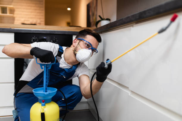 Best Local Pest Control Services  in Catlin, IL