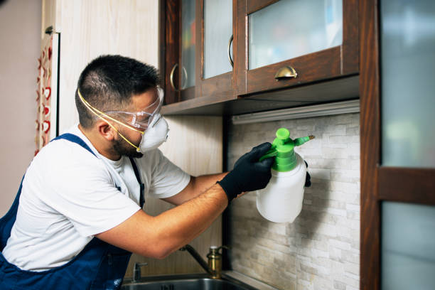 Best Bed Bug Extermination  in Catlin, IL