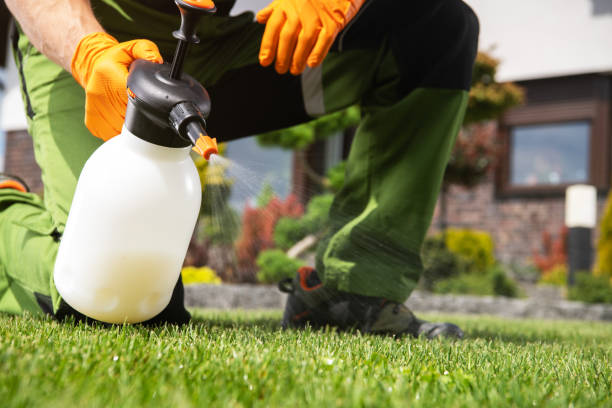 Best Exterminator Services  in Catlin, IL