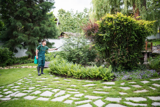 Reliable Catlin, IL Pest Control Solutions
