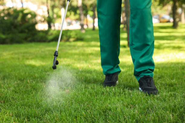 Pest Control for Restaurants in Catlin, IL