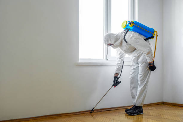 Best Residential Pest Control  in Catlin, IL