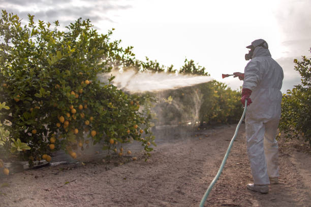 Best Best Pest Control Companies  in Catlin, IL