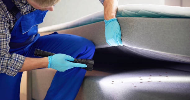 Best Commercial Pest Control Services  in Catlin, IL