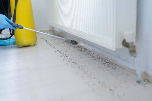Best Pest Removal Services  in Catlin, IL
