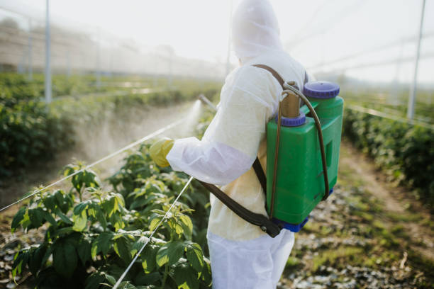 Best Wasp Removal Services  in Catlin, IL